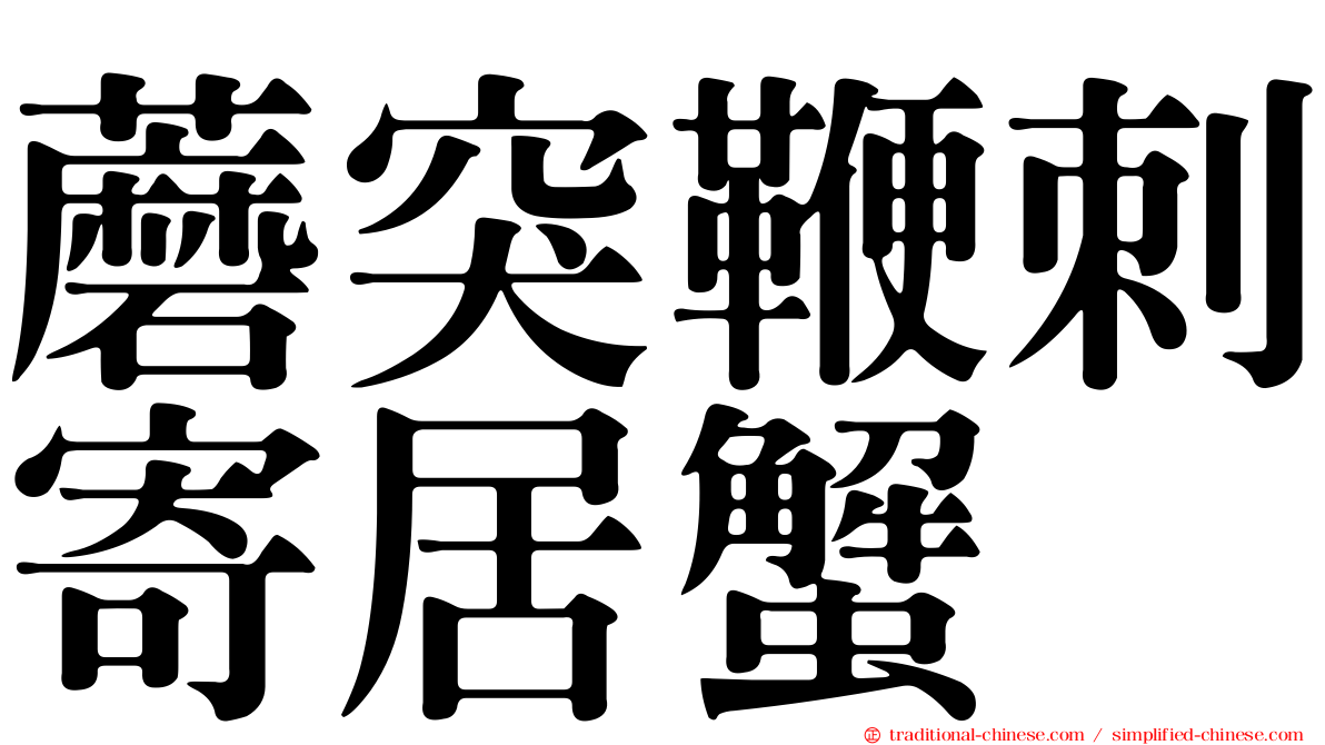 蘑突鞭刺寄居蟹