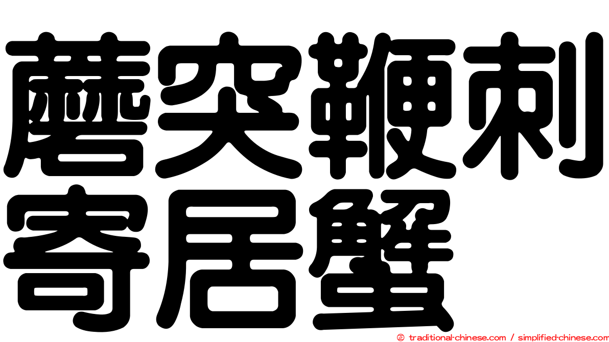 蘑突鞭刺寄居蟹