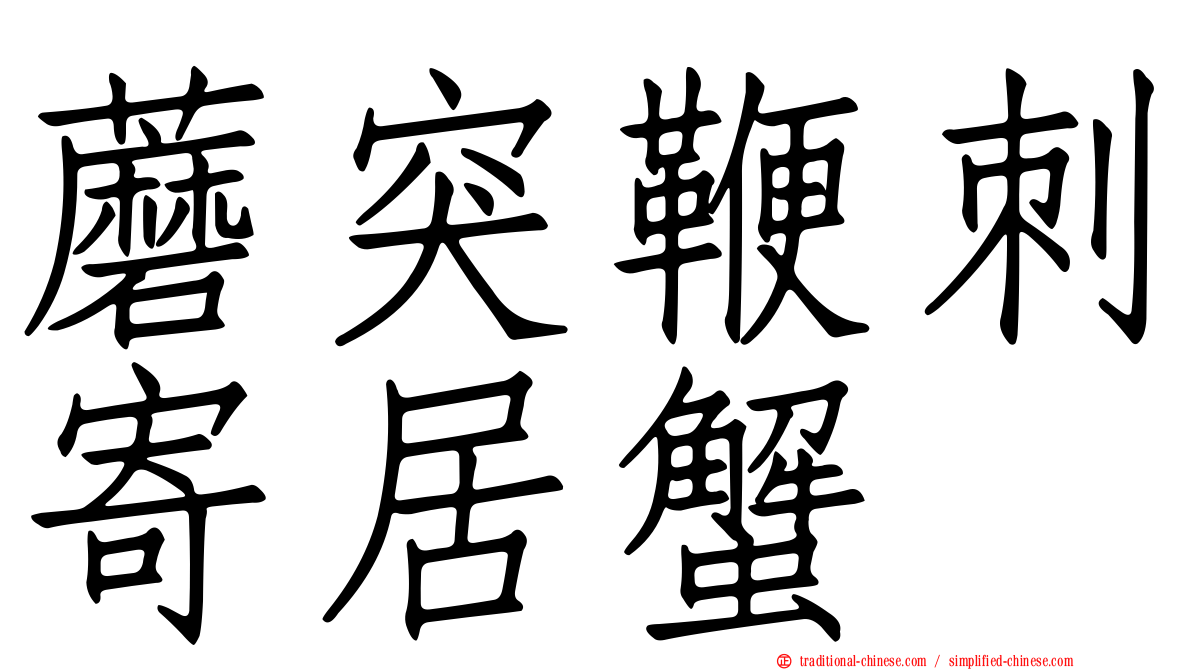 蘑突鞭刺寄居蟹