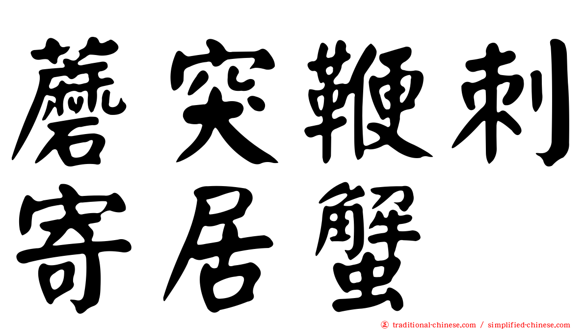 蘑突鞭刺寄居蟹