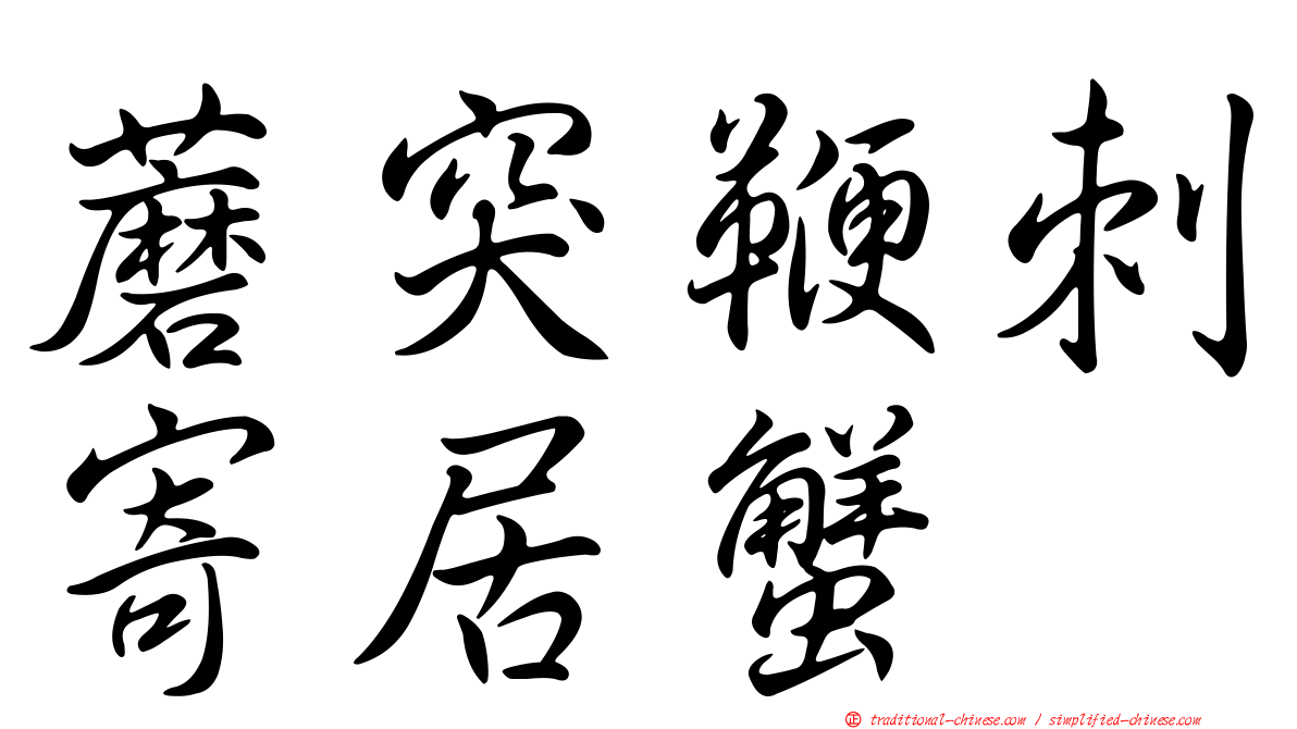 蘑突鞭刺寄居蟹