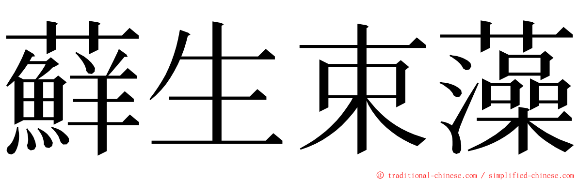 蘚生束藻 ming font