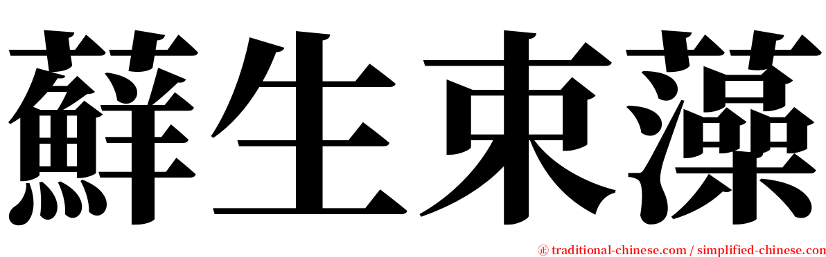 蘚生束藻 serif font