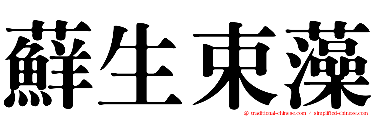 蘚生束藻