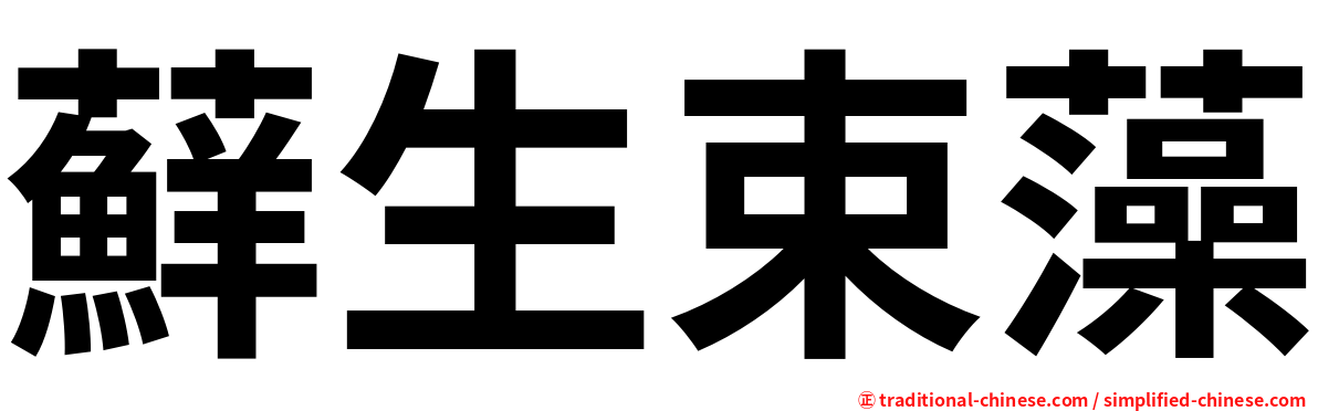 蘚生束藻
