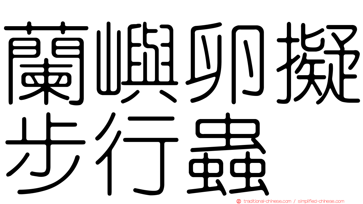 蘭嶼卵擬步行蟲