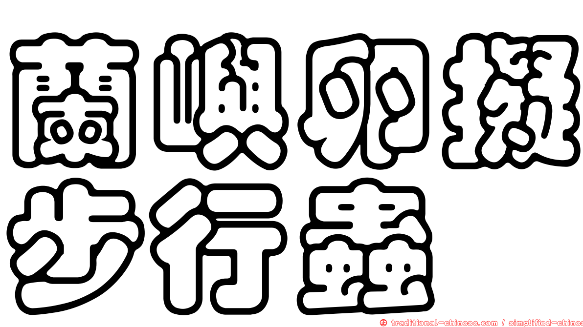 蘭嶼卵擬步行蟲