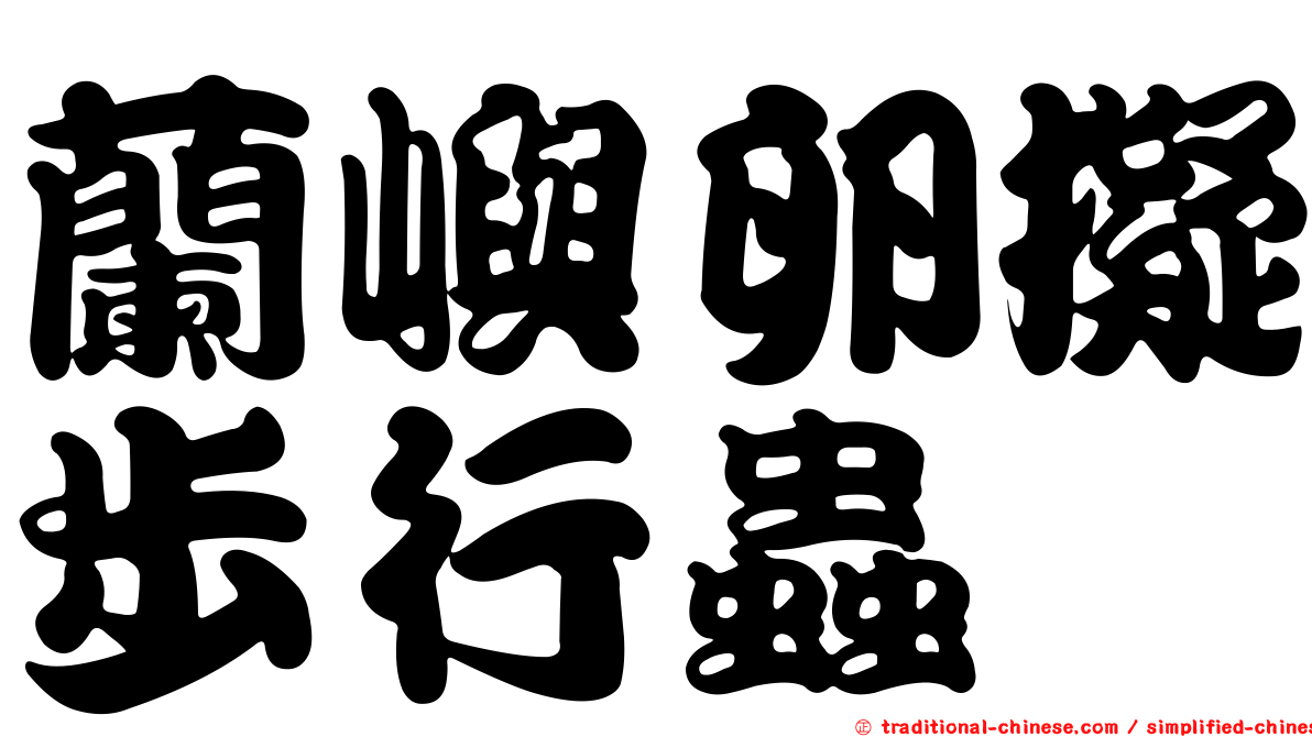蘭嶼卵擬步行蟲