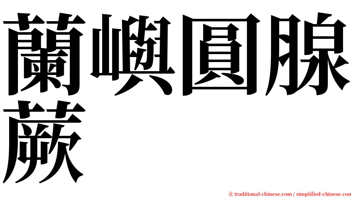 蘭嶼圓腺蕨 serif font