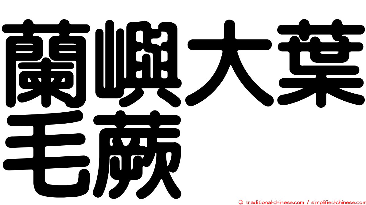 蘭嶼大葉毛蕨