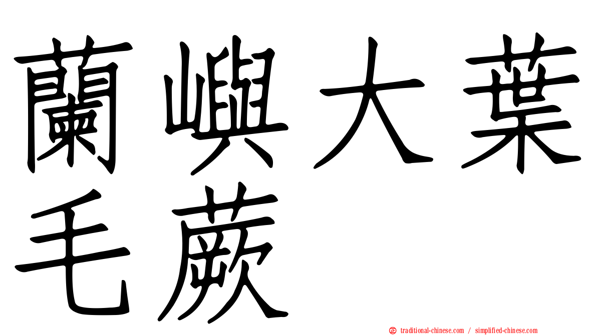 蘭嶼大葉毛蕨