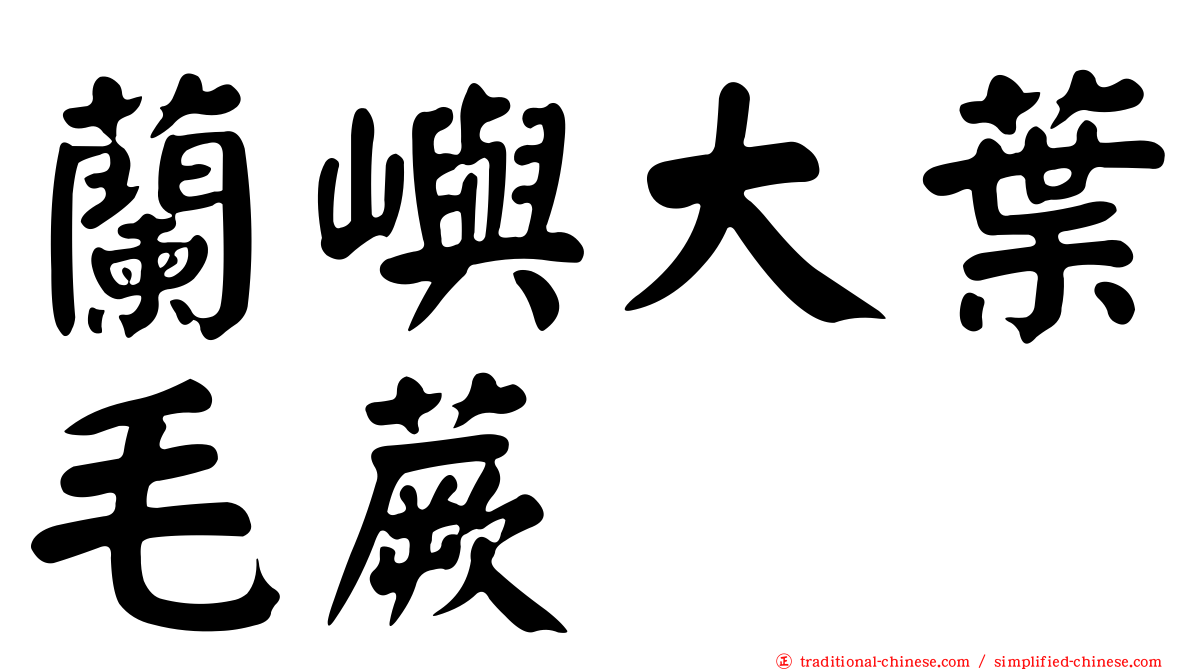 蘭嶼大葉毛蕨