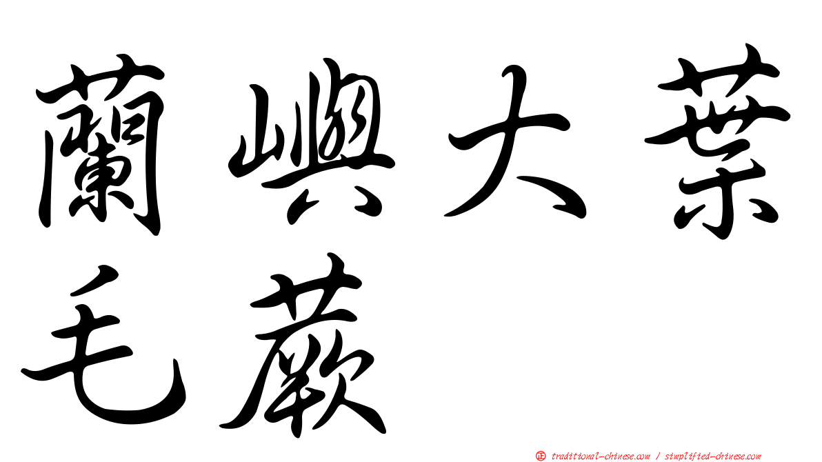 蘭嶼大葉毛蕨