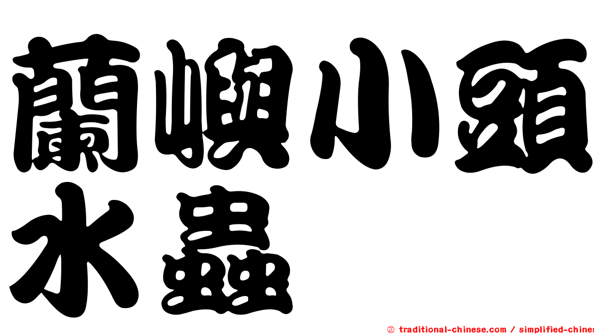 蘭嶼小頭水蟲