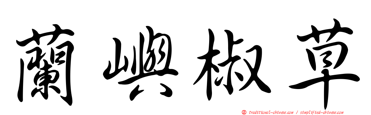 蘭嶼椒草
