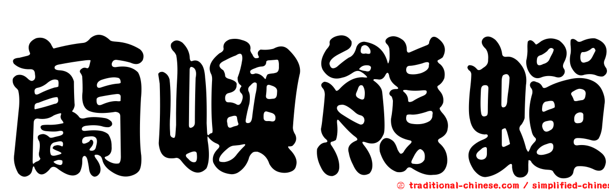 蘭嶼熊蟬
