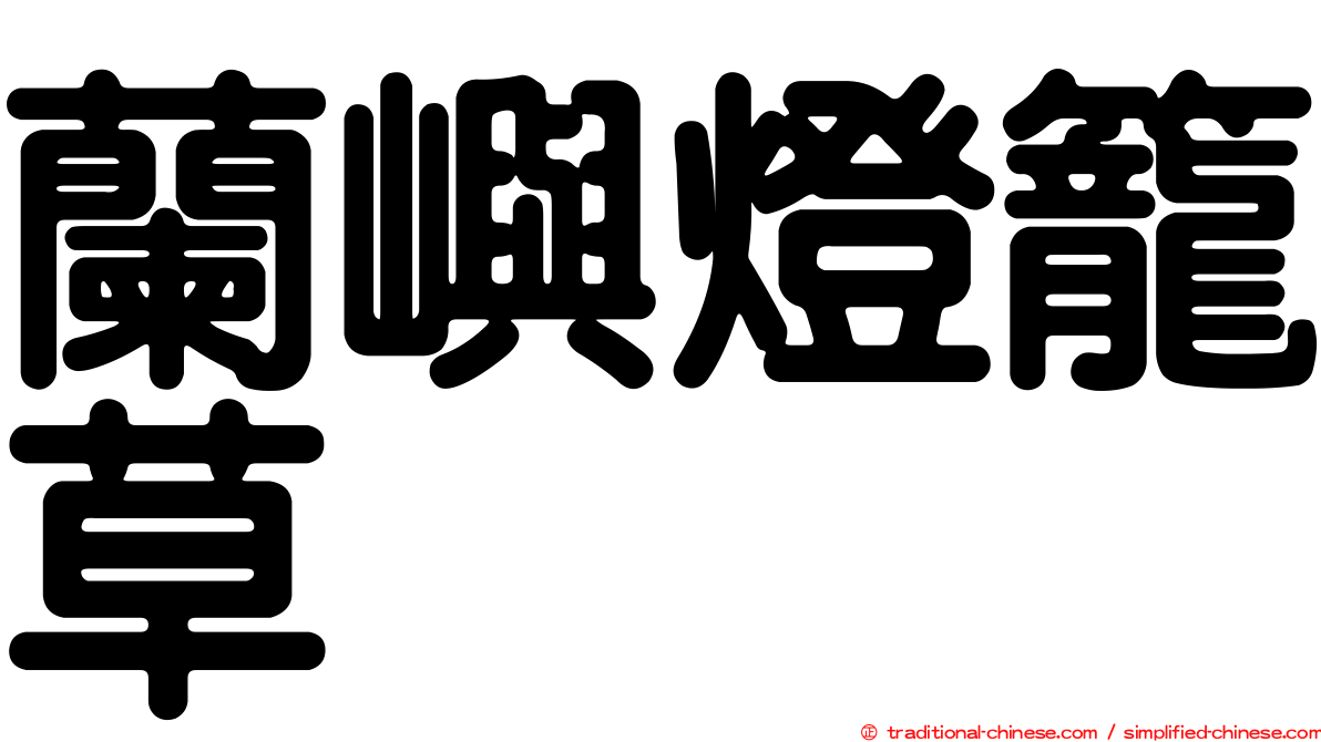 蘭嶼燈籠草
