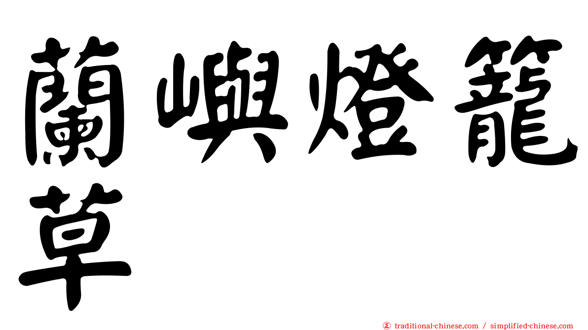 蘭嶼燈籠草