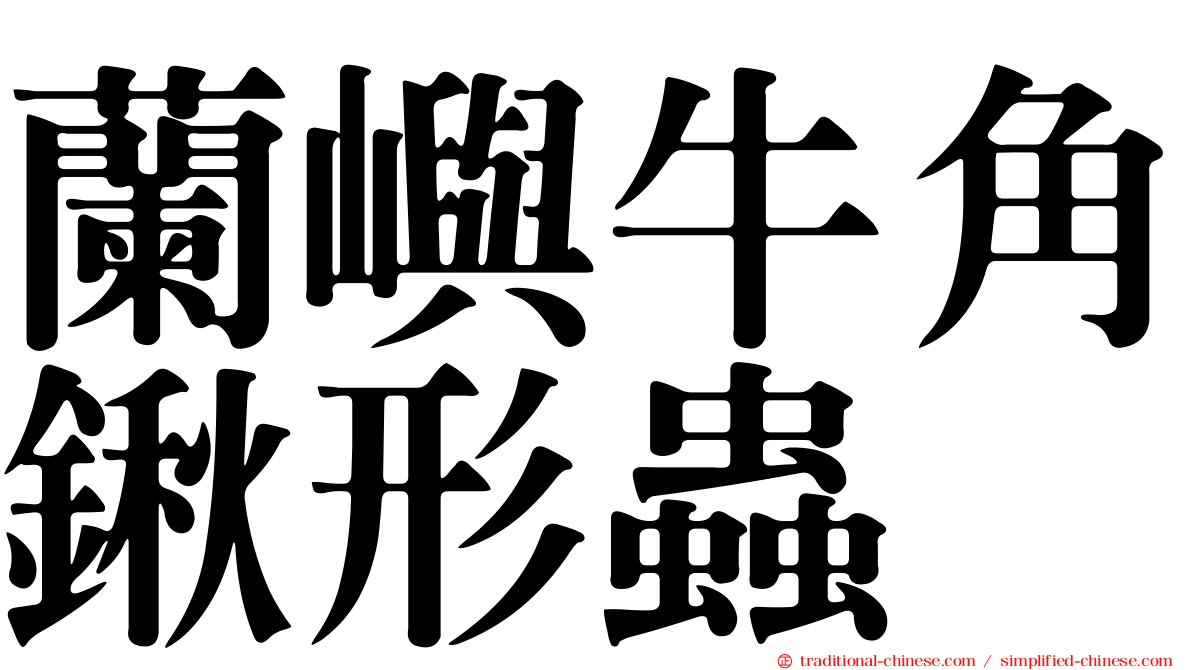 蘭嶼牛角鍬形蟲