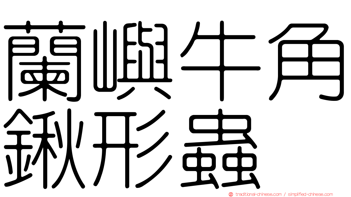 蘭嶼牛角鍬形蟲