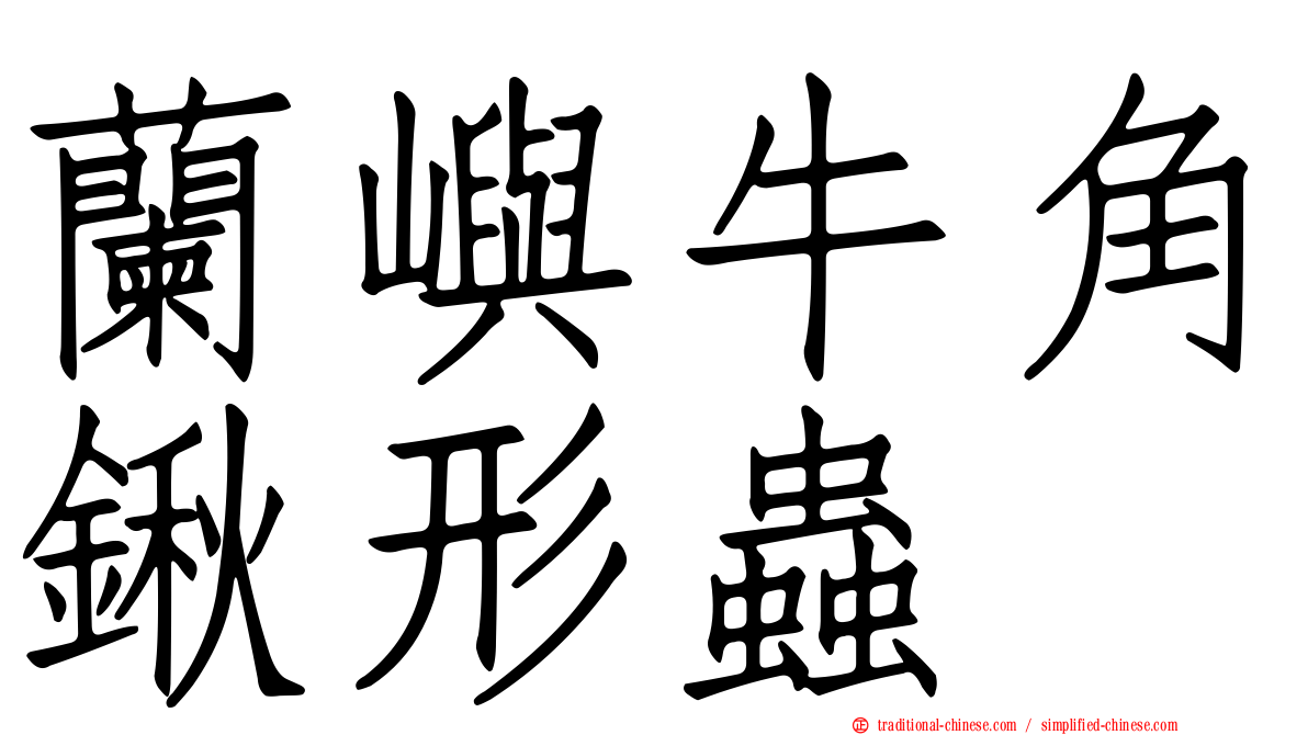 蘭嶼牛角鍬形蟲
