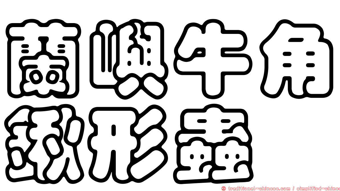 蘭嶼牛角鍬形蟲