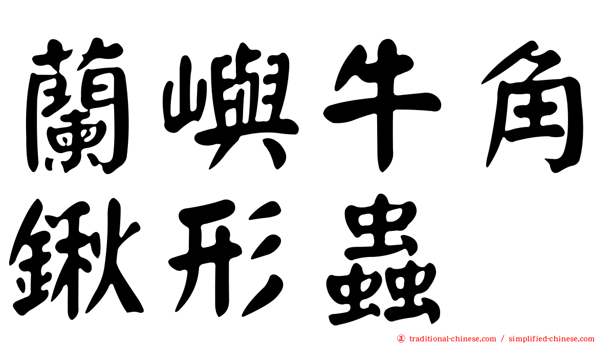 蘭嶼牛角鍬形蟲