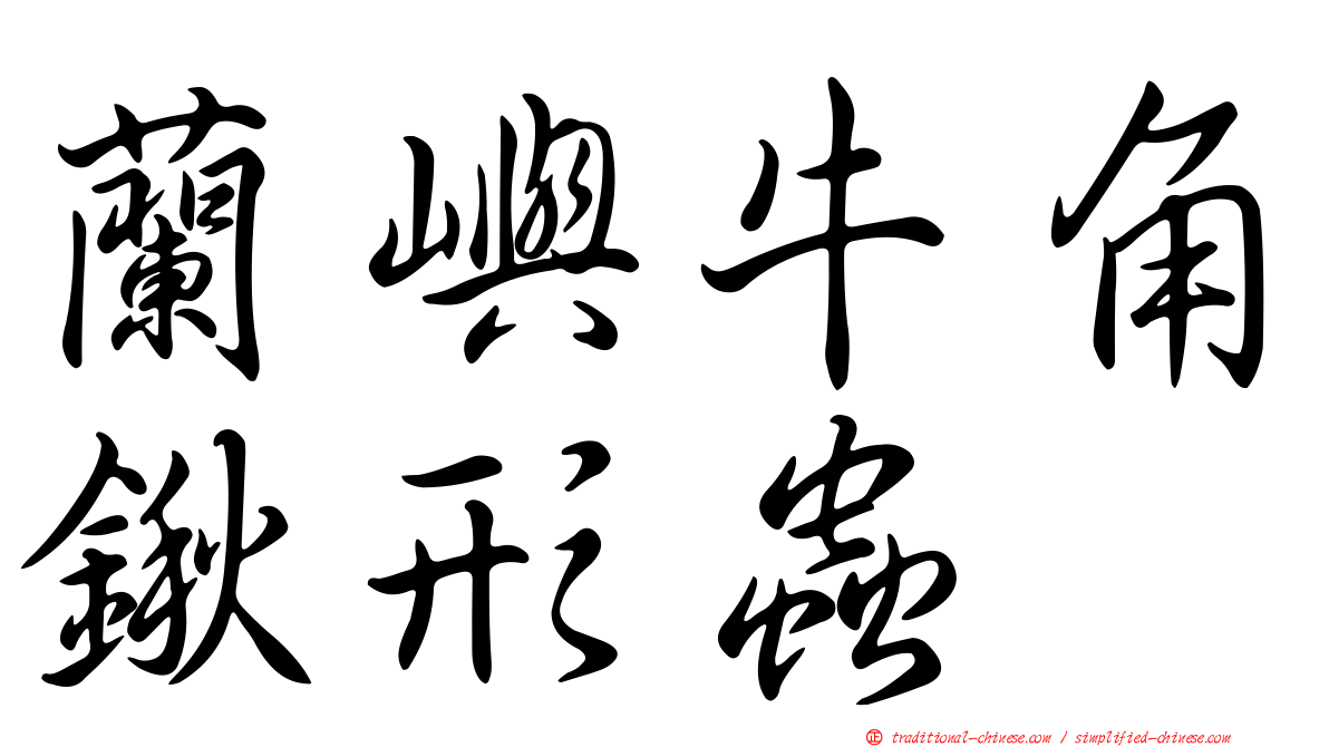 蘭嶼牛角鍬形蟲