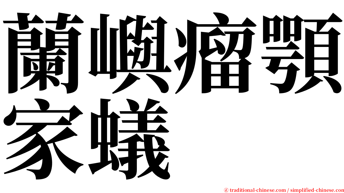 蘭嶼瘤顎家蟻 serif font