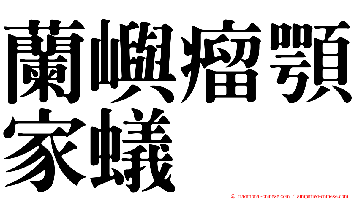 蘭嶼瘤顎家蟻