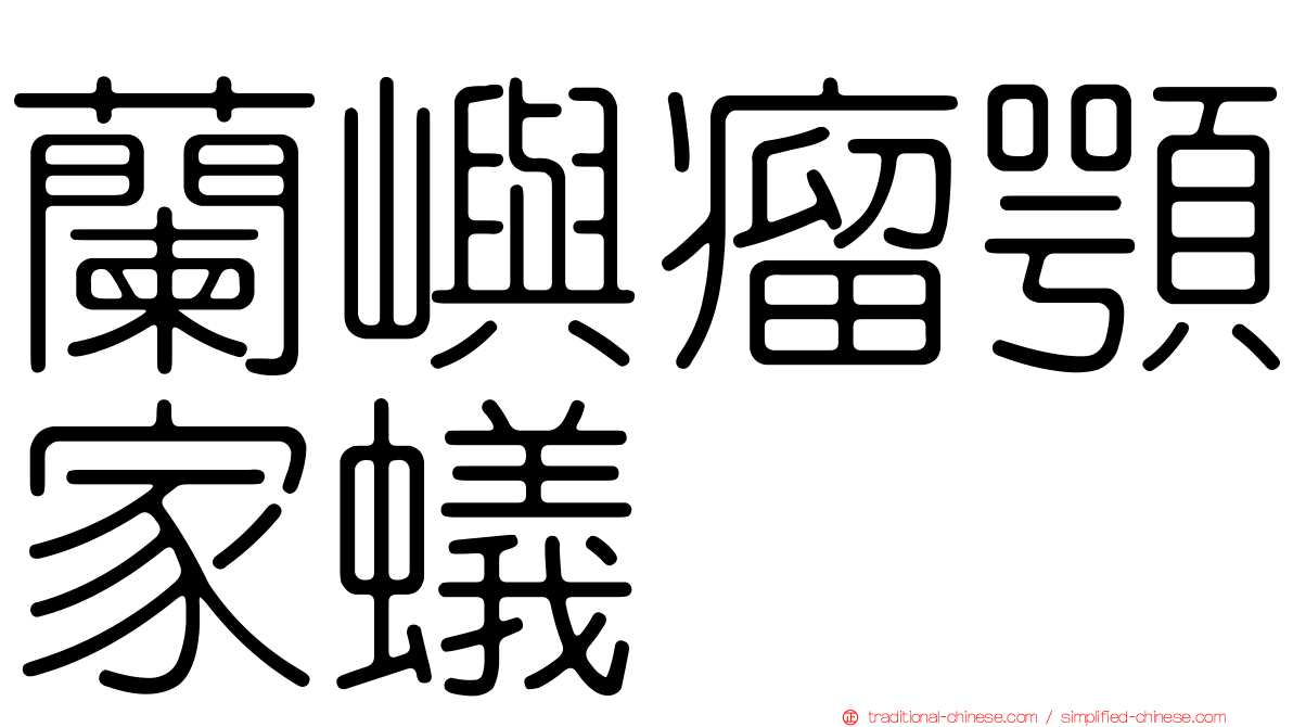 蘭嶼瘤顎家蟻