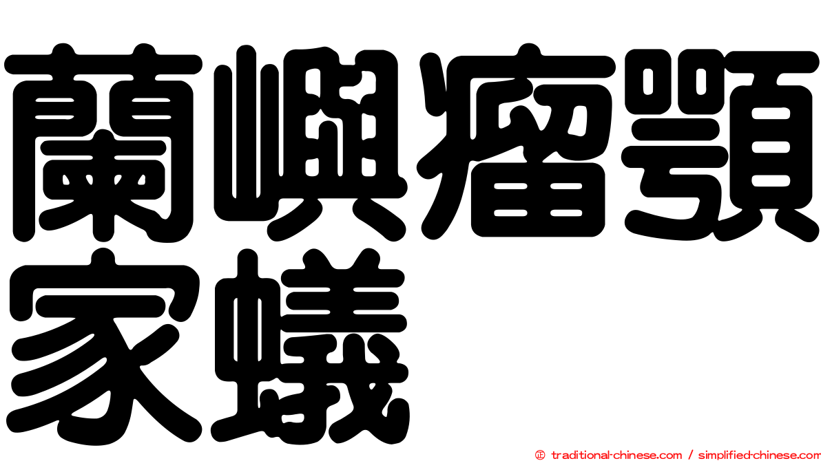 蘭嶼瘤顎家蟻