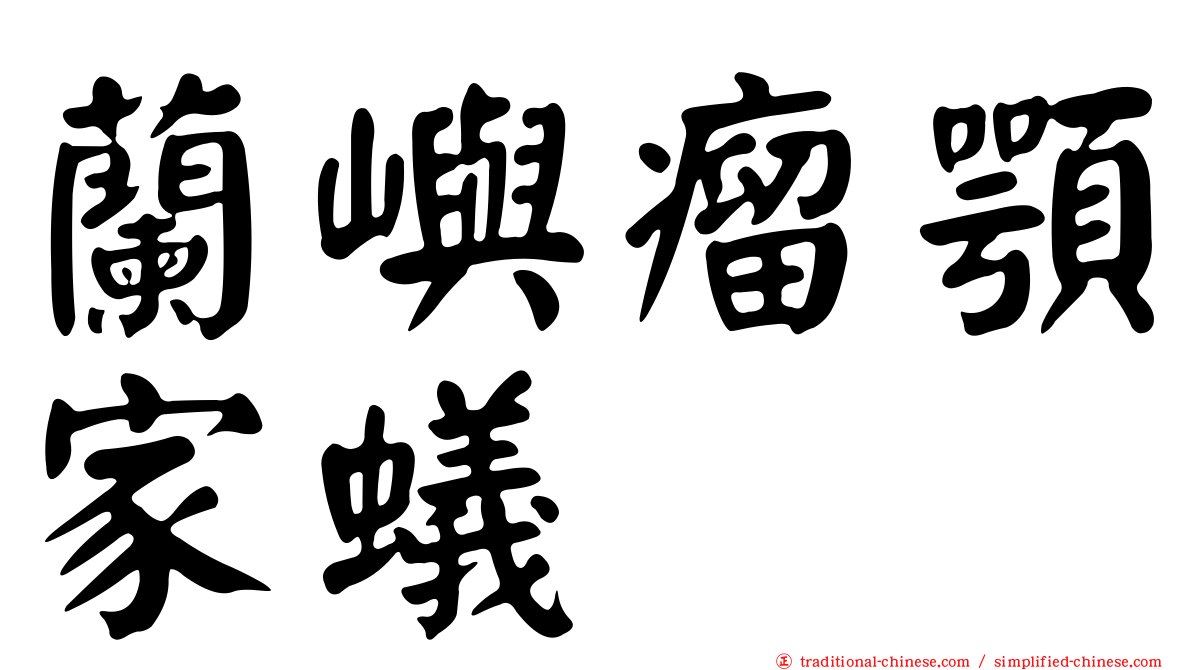 蘭嶼瘤顎家蟻