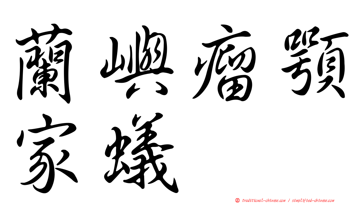 蘭嶼瘤顎家蟻