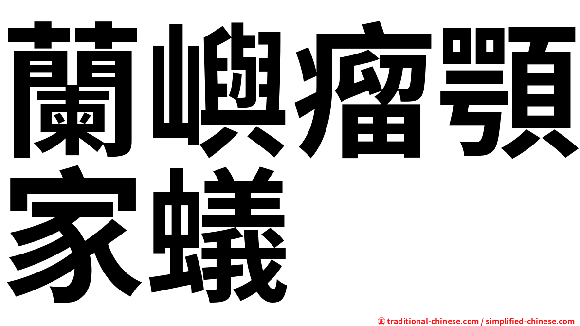 蘭嶼瘤顎家蟻