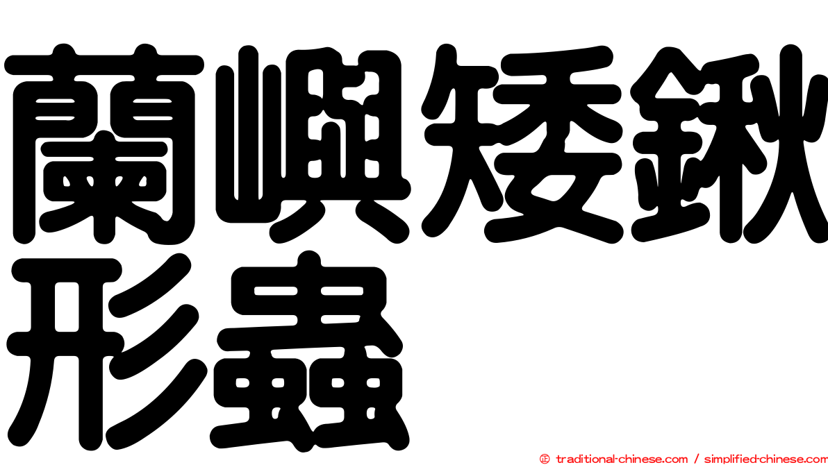 蘭嶼矮鍬形蟲