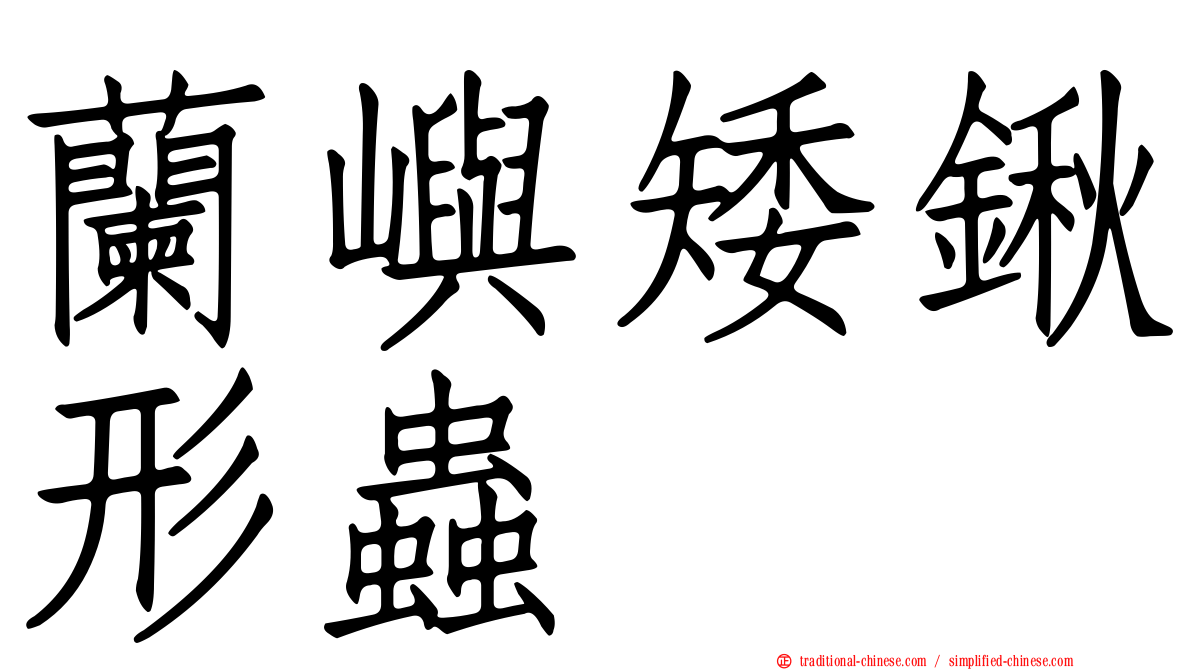 蘭嶼矮鍬形蟲
