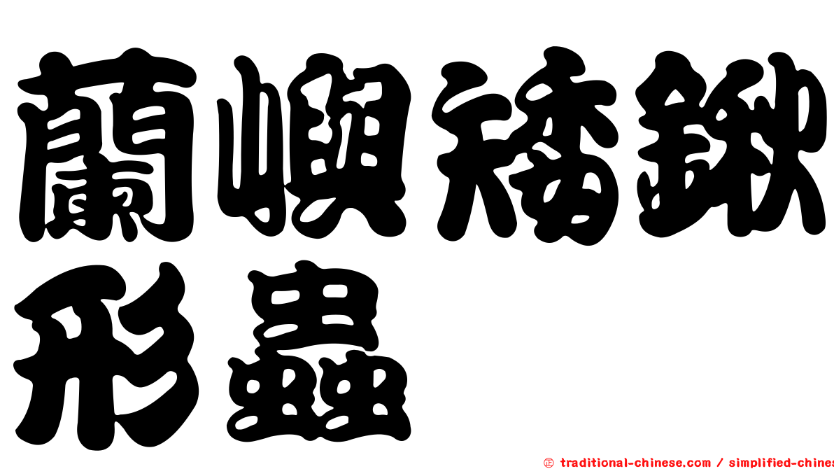蘭嶼矮鍬形蟲