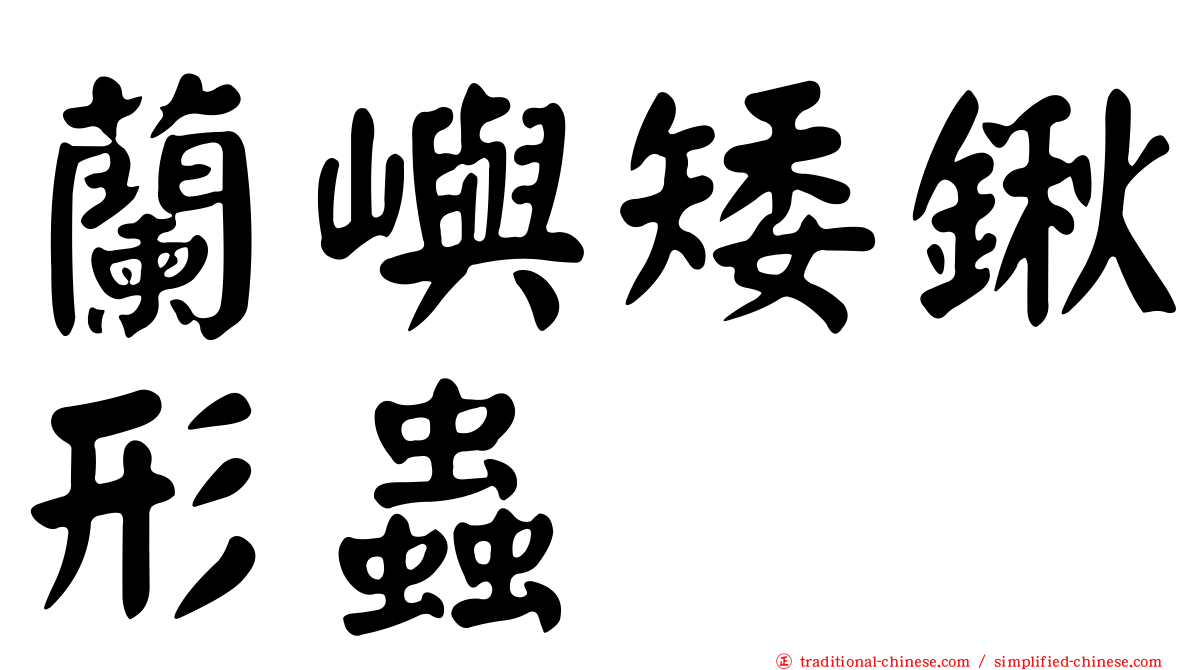 蘭嶼矮鍬形蟲