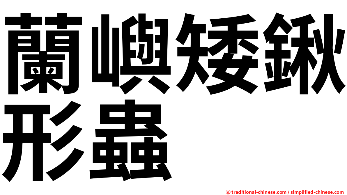 蘭嶼矮鍬形蟲