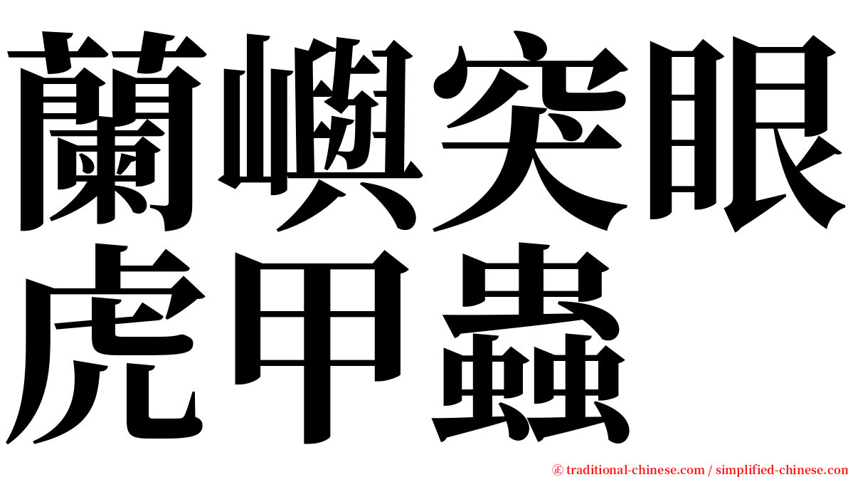 蘭嶼突眼虎甲蟲 serif font