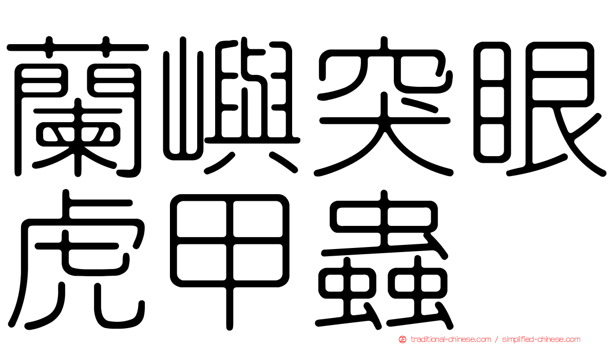 蘭嶼突眼虎甲蟲