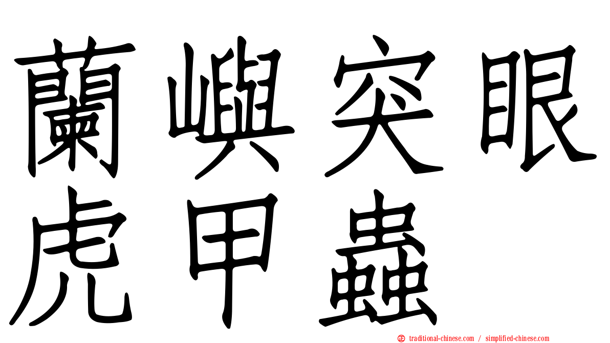 蘭嶼突眼虎甲蟲