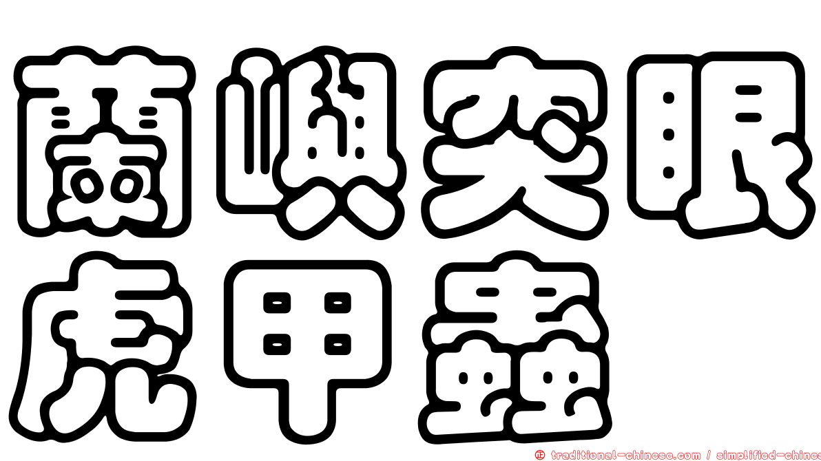 蘭嶼突眼虎甲蟲