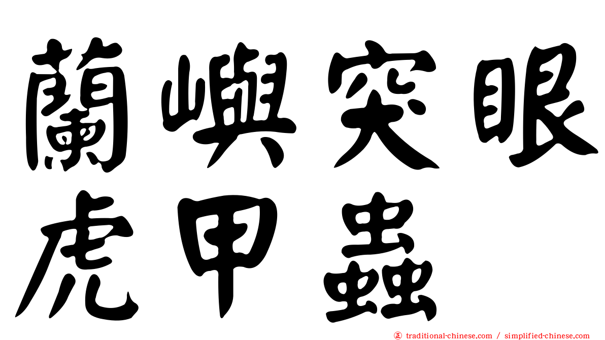 蘭嶼突眼虎甲蟲