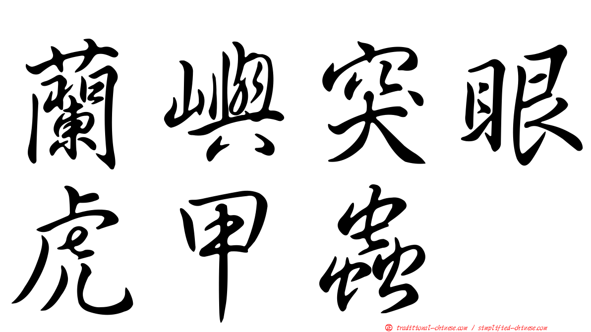 蘭嶼突眼虎甲蟲