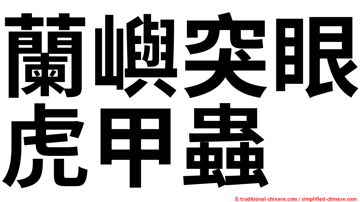 蘭嶼突眼虎甲蟲