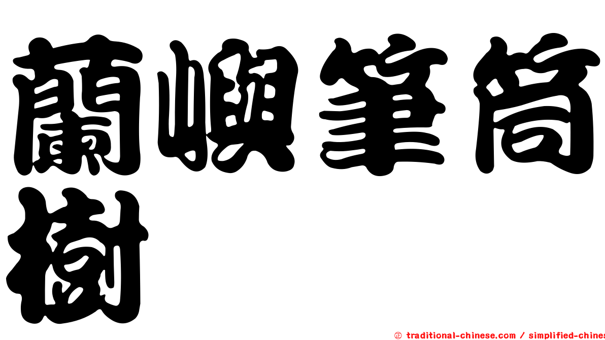 蘭嶼筆筒樹