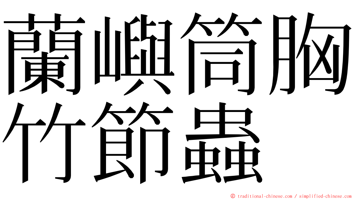 蘭嶼筒胸竹節蟲 ming font
