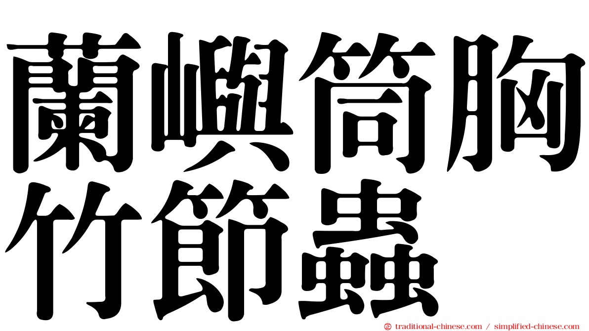 蘭嶼筒胸竹節蟲